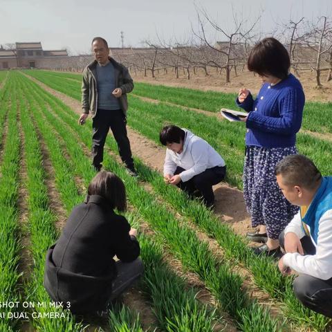 扎根沃土，技興田野——禮泉縣農(nóng)業(yè)科學(xué)技術(shù)推廣站技術(shù)服務(wù)紀(jì)實(shí)